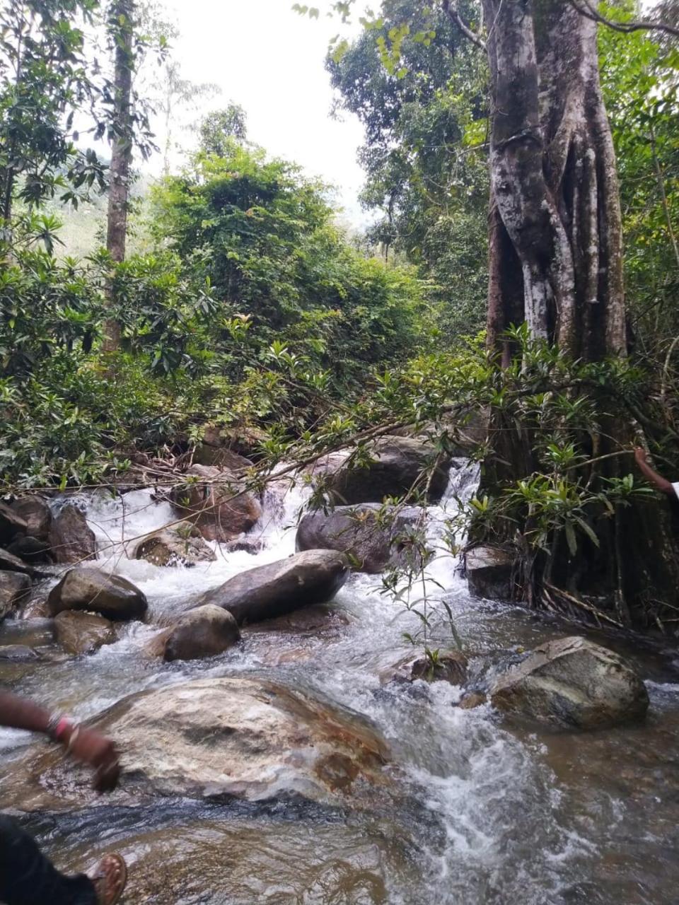 Mistywindvalley Kudayattur Bagian luar foto